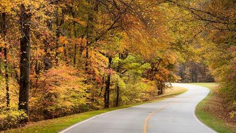Explore the Natchez Trace